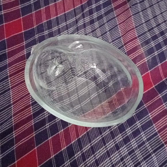 Pet glass dish bowl - Picture 10 of 11
